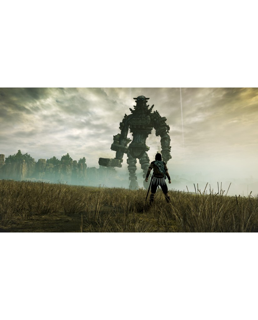 SHADOW OF THE COLOSSUS - PS4 GAME
